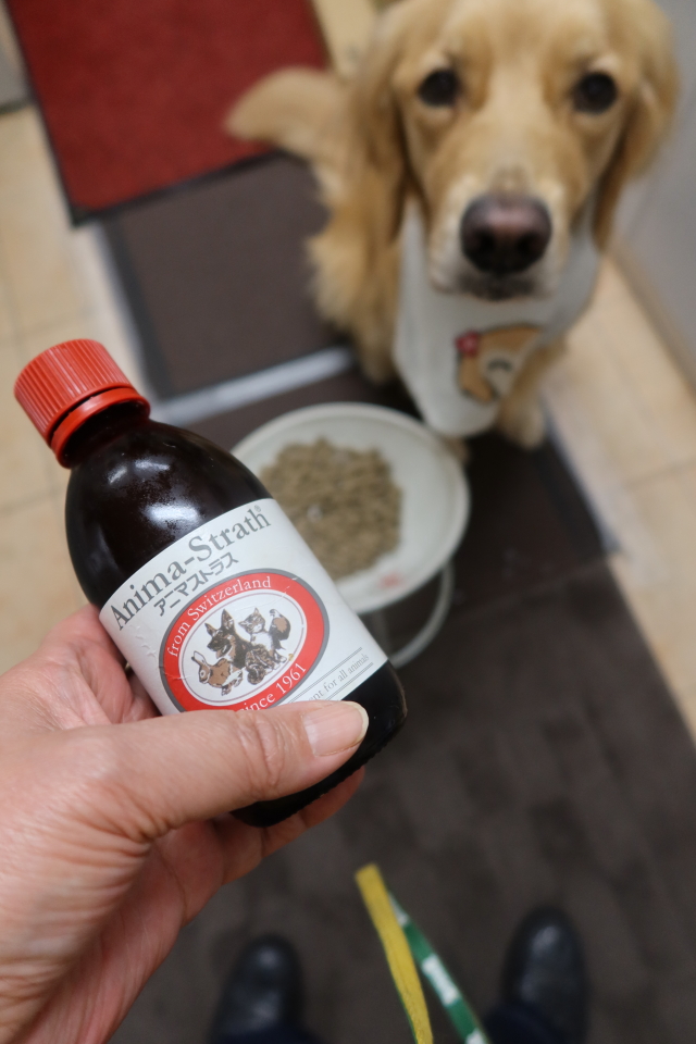 ファイル 7828-3.jpg