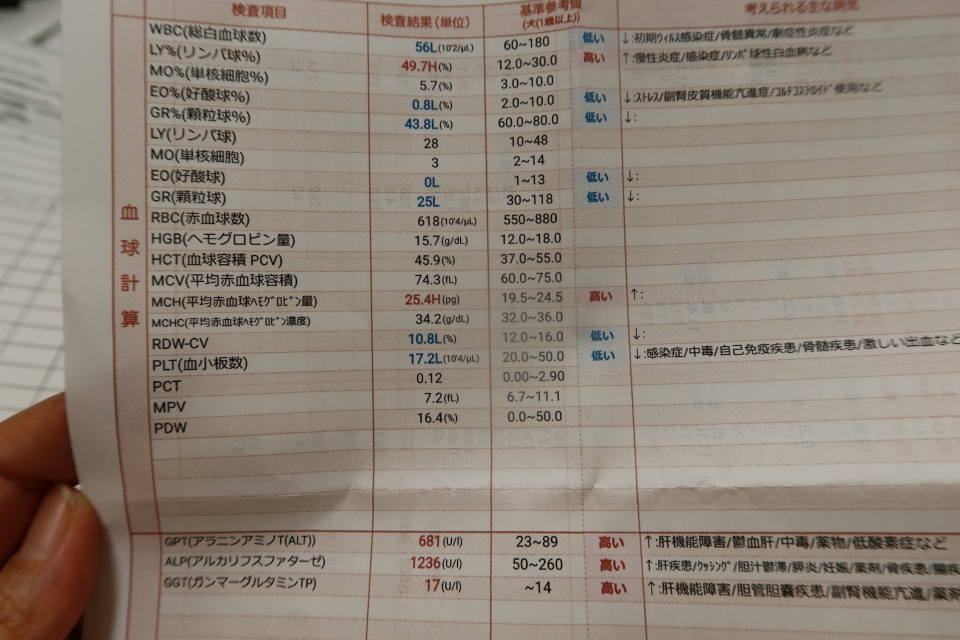 ファイル 7828-4.jpg