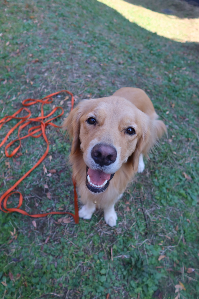 ファイル 7829-1.jpg