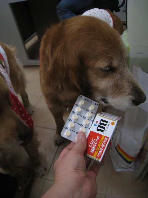 ファイル 783-2.jpg