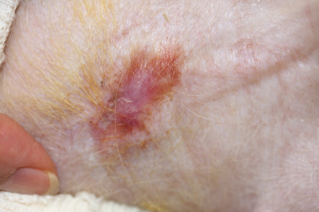 ファイル 783-3.jpg