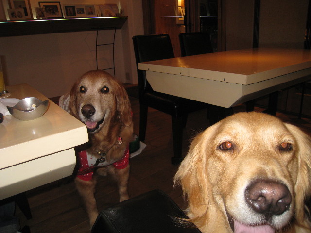 ファイル 783-4.jpg