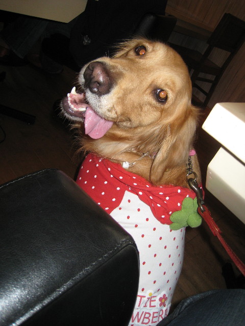 ファイル 783-5.jpg