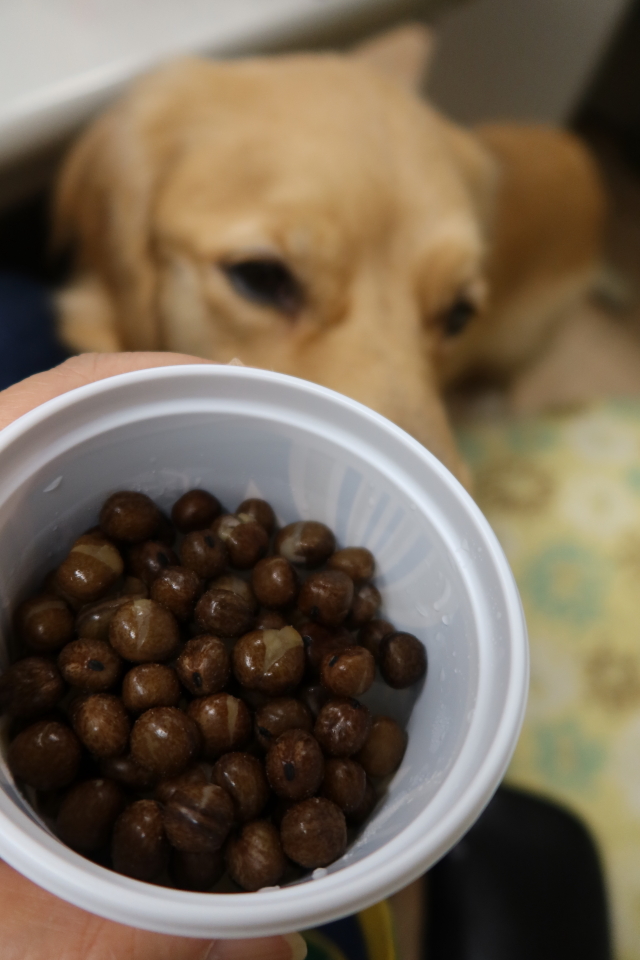 ファイル 7830-2.jpg