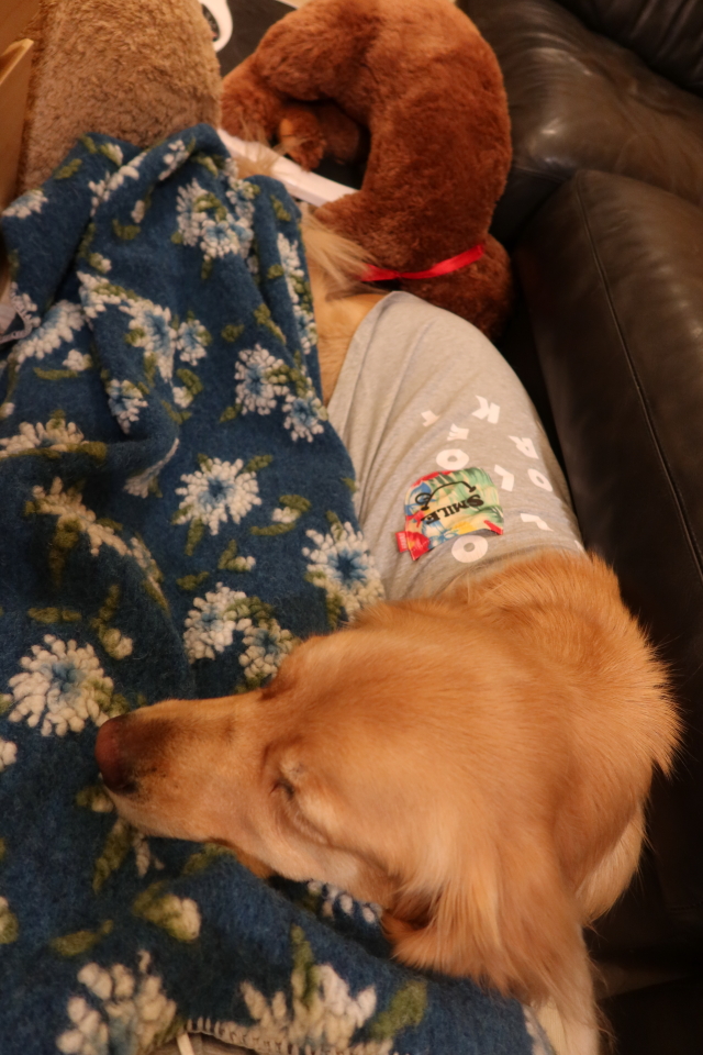 ファイル 7832-3.jpg