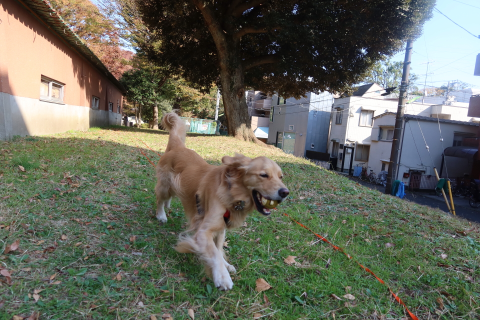 ファイル 7832-4.jpg