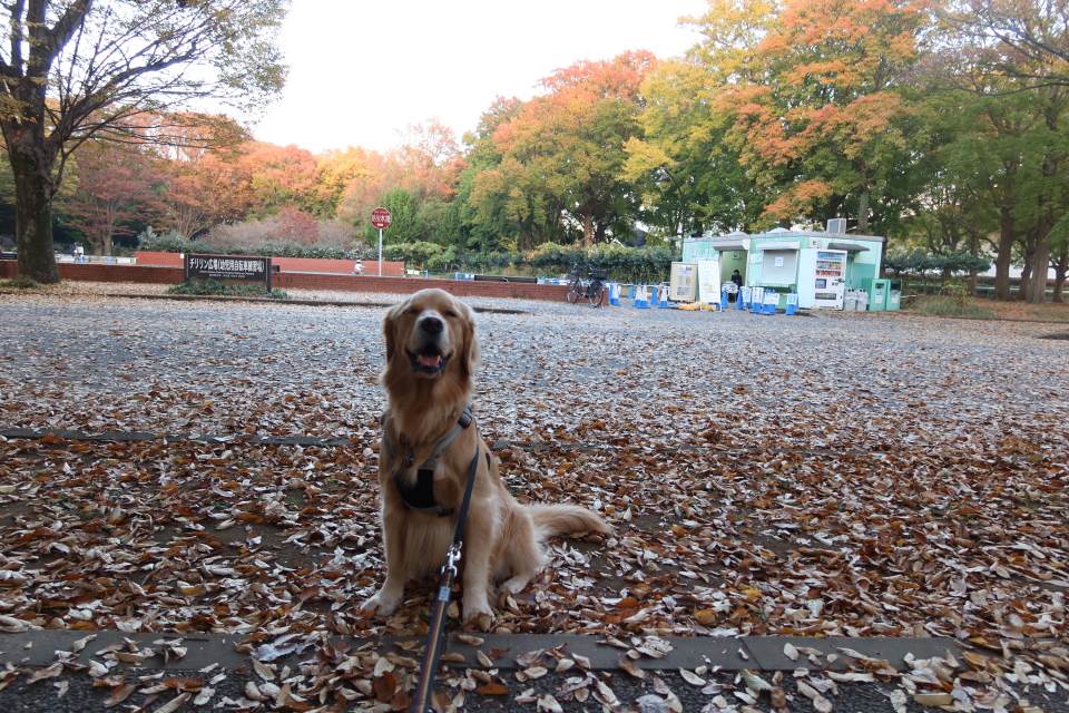 ファイル 7834-1.jpg