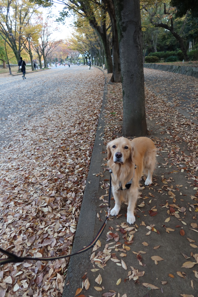 ファイル 7834-2.jpg