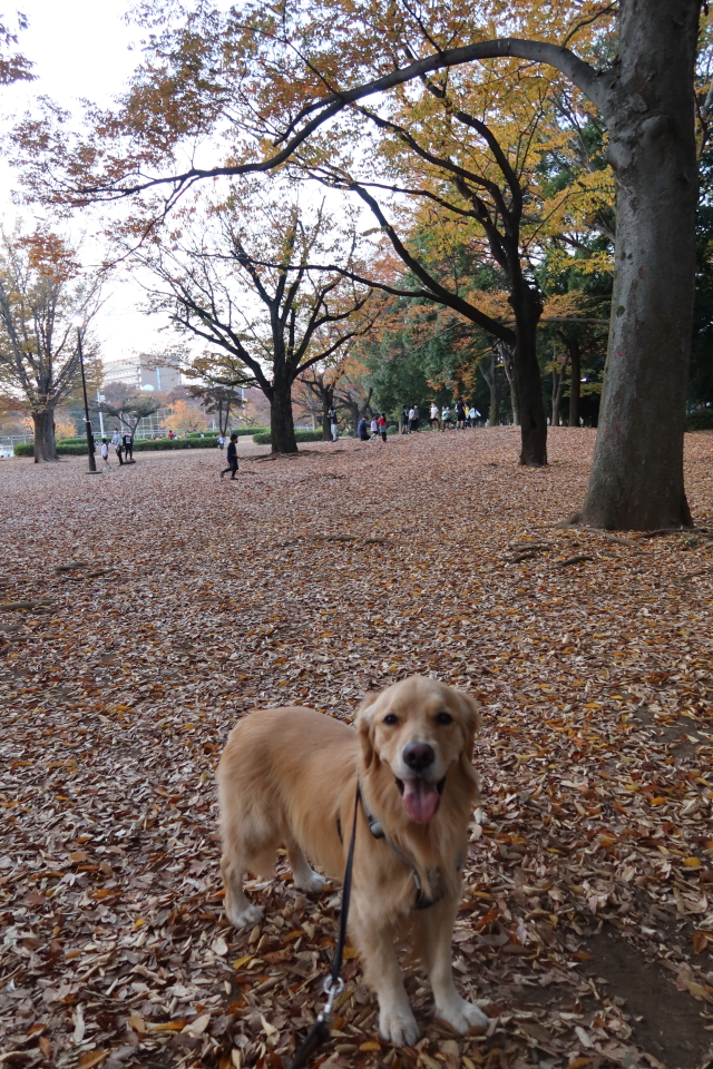 ファイル 7834-5.jpg