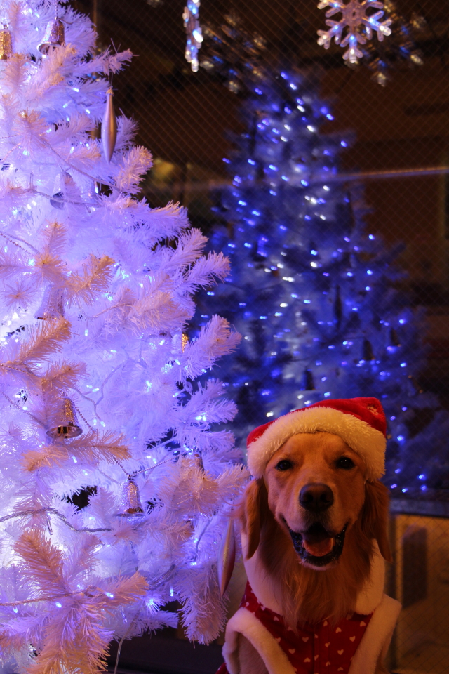 ファイル 7838-4.jpg