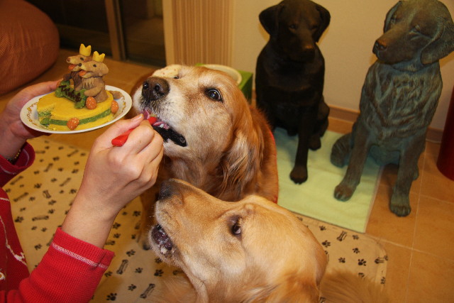 ファイル 784-3.jpg