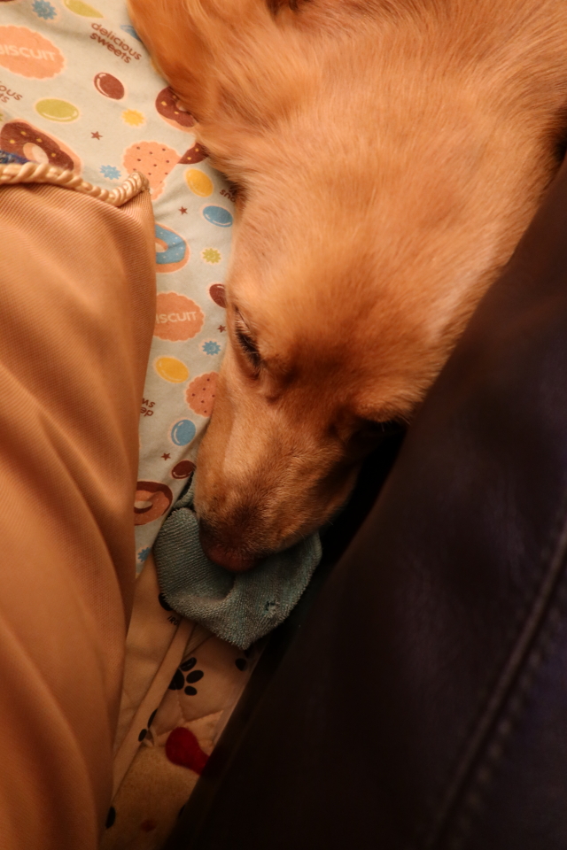 ファイル 7840-1.jpg