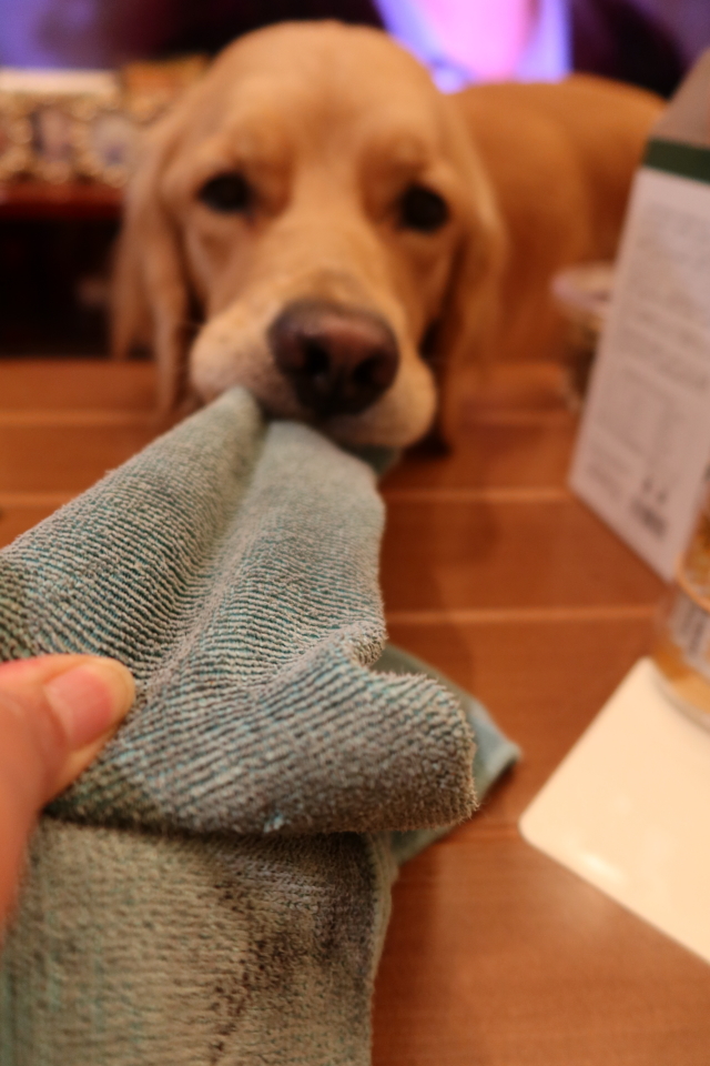 ファイル 7840-2.jpg