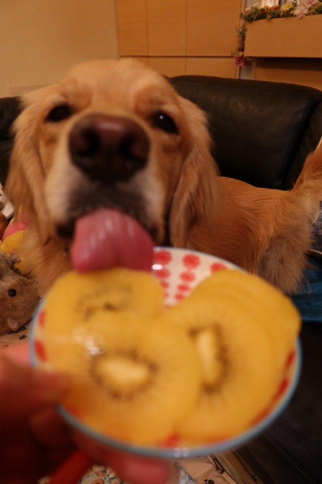 ファイル 7840-3.jpg