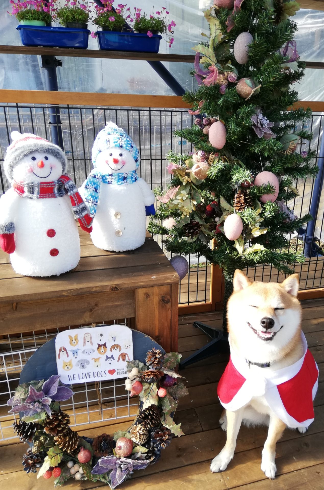 ファイル 7841-3.jpg