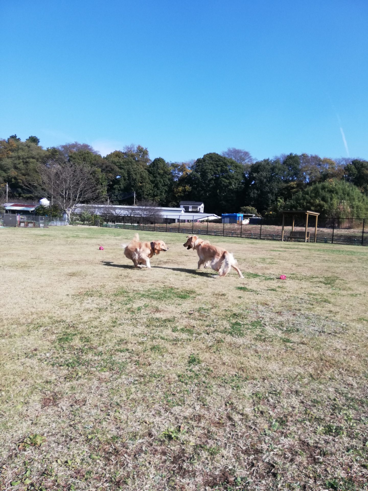 ファイル 7841-5.jpg