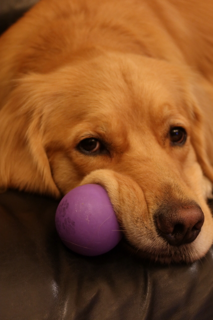 ファイル 7842-3.jpg