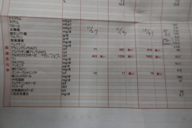 ファイル 7842-4.jpg