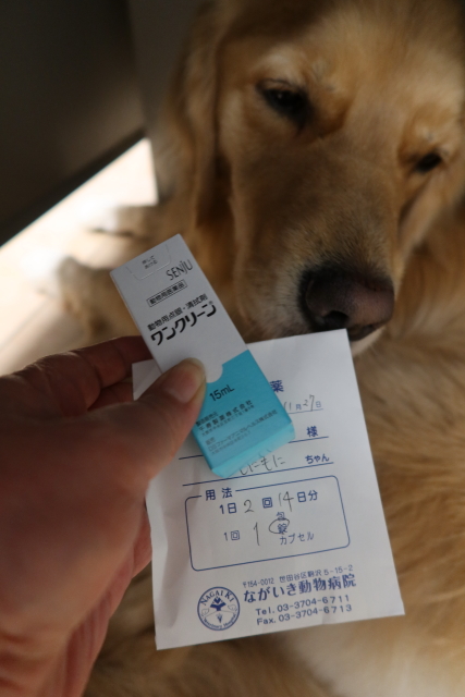 ファイル 7842-5.jpg