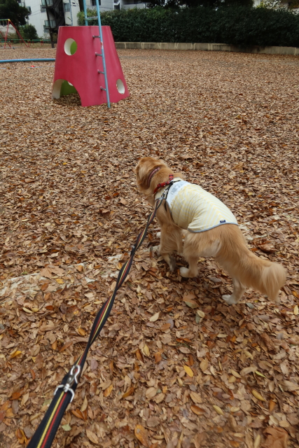 ファイル 7843-4.jpg