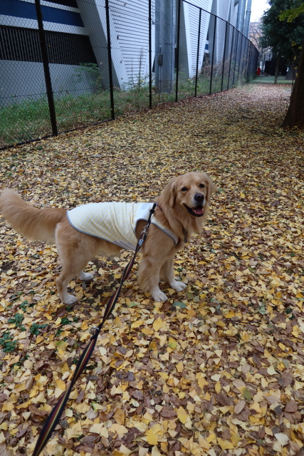 ファイル 7843-5.jpg