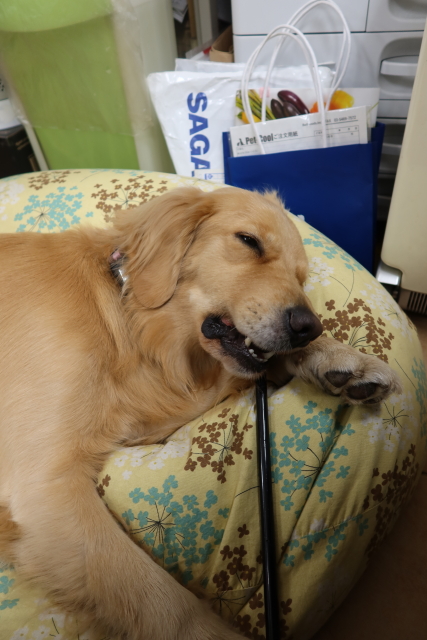 ファイル 7844-1.jpg