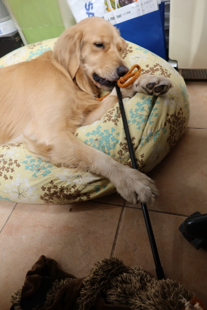 ファイル 7844-2.jpg