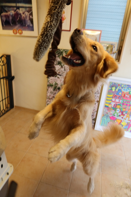 ファイル 7844-3.jpg