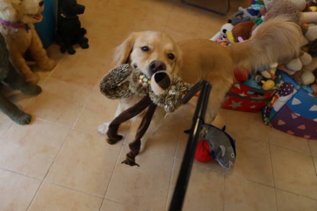 ファイル 7844-5.jpg