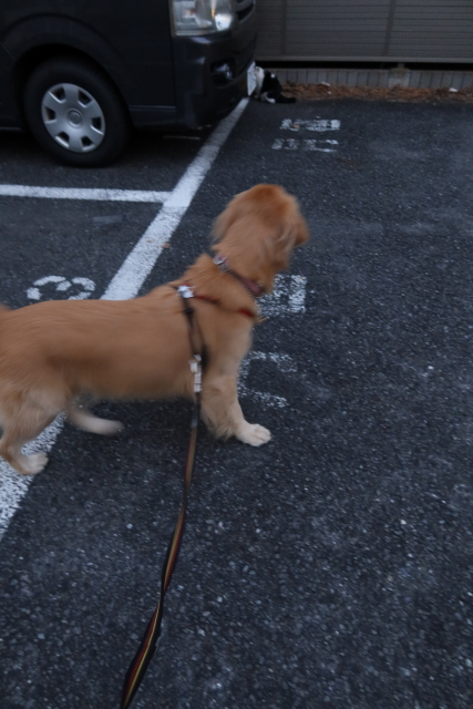 ファイル 7845-2.jpg