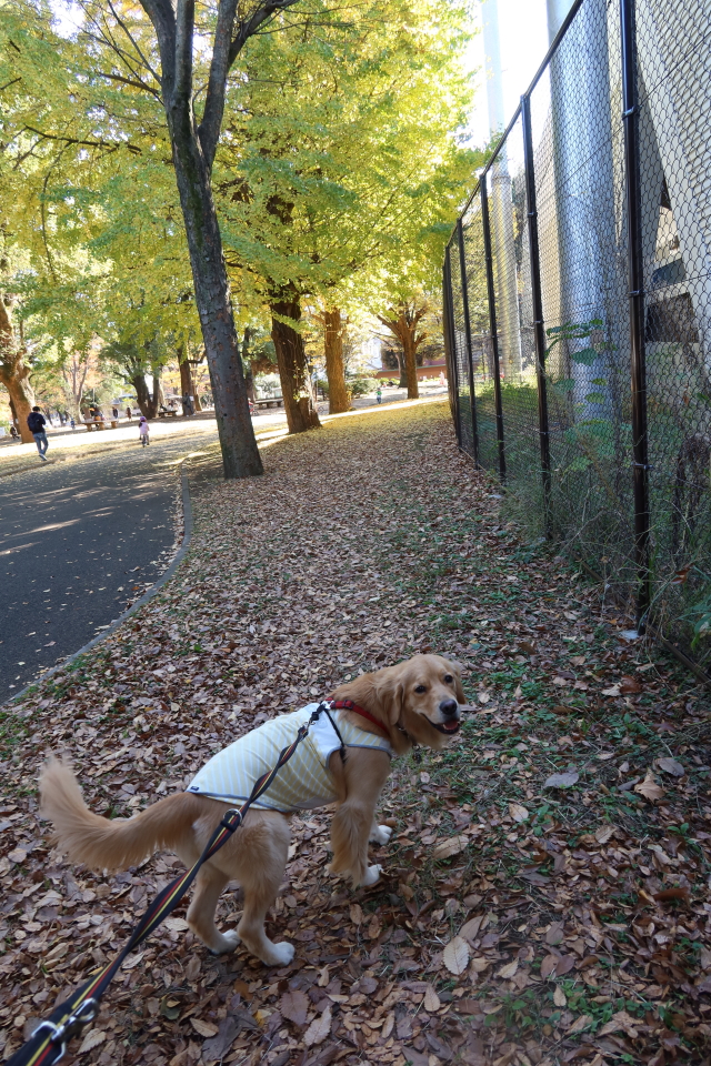 ファイル 7845-5.jpg