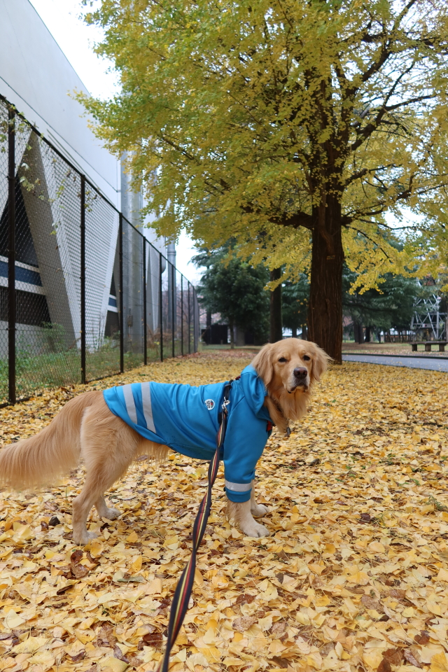 ファイル 7850-1.jpg