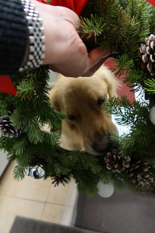 ファイル 7850-2.jpg