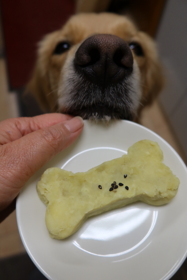 ファイル 7850-5.jpg