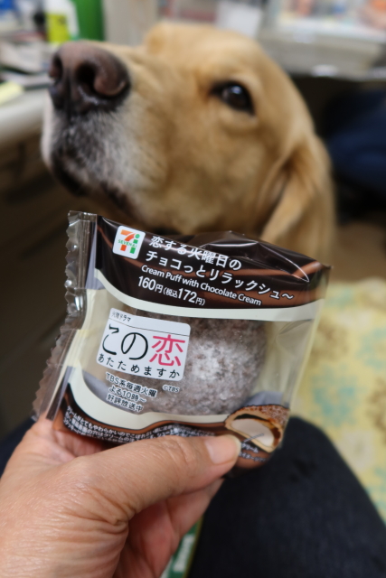 ファイル 7851-3.jpg