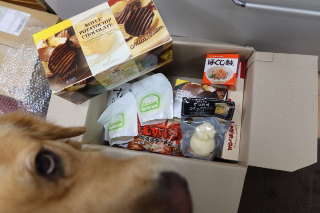 ファイル 7851-4.jpg