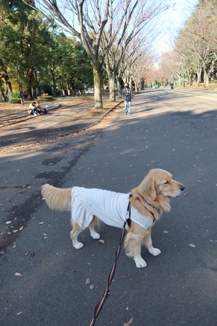 ファイル 7852-3.jpg