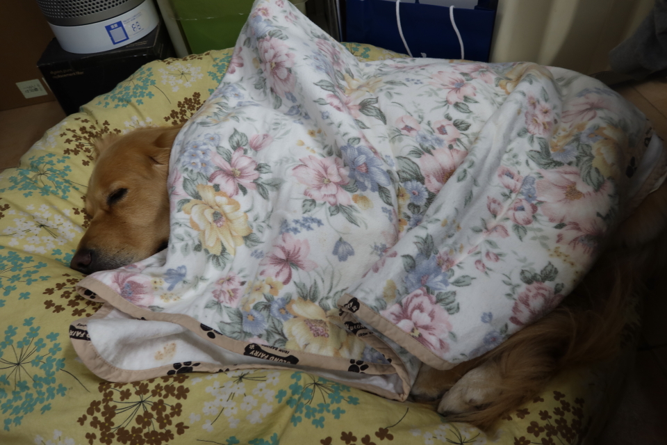 ファイル 7853-3.jpg