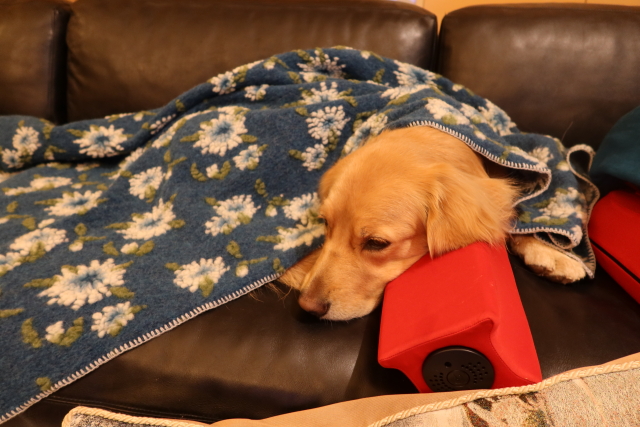 ファイル 7853-4.jpg