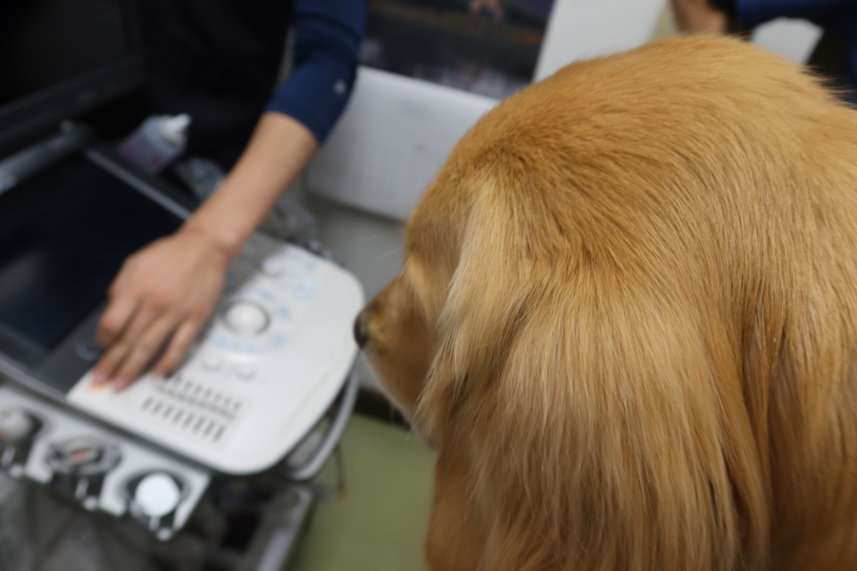 ファイル 7854-2.jpg