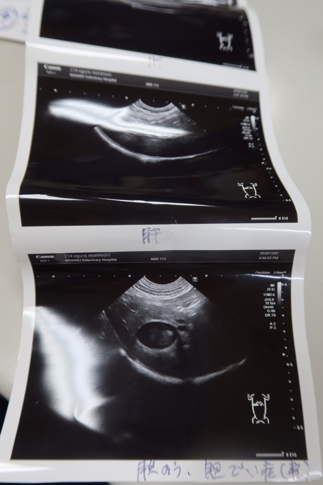 ファイル 7854-3.jpg