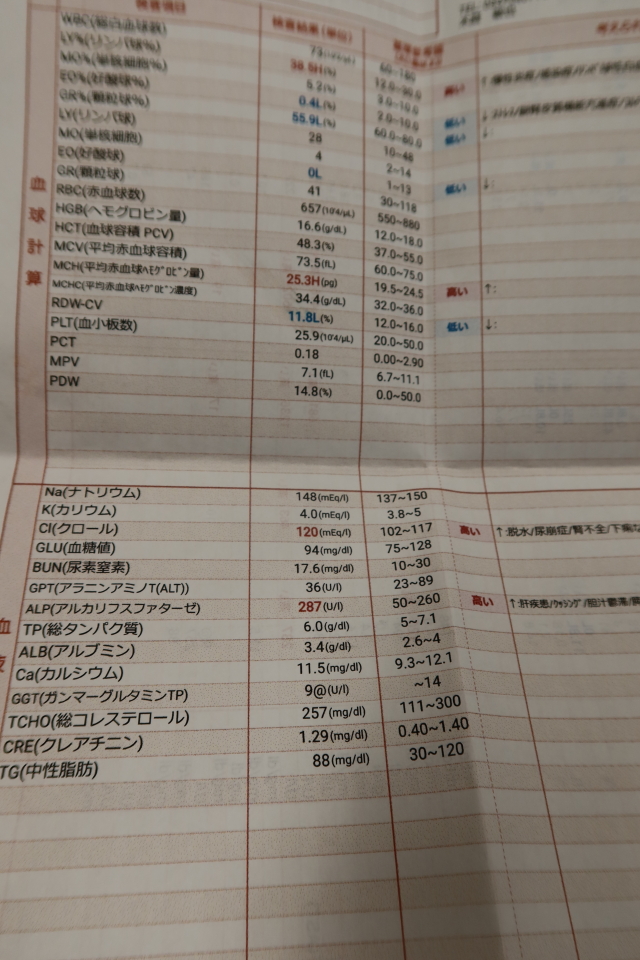 ファイル 7854-4.jpg