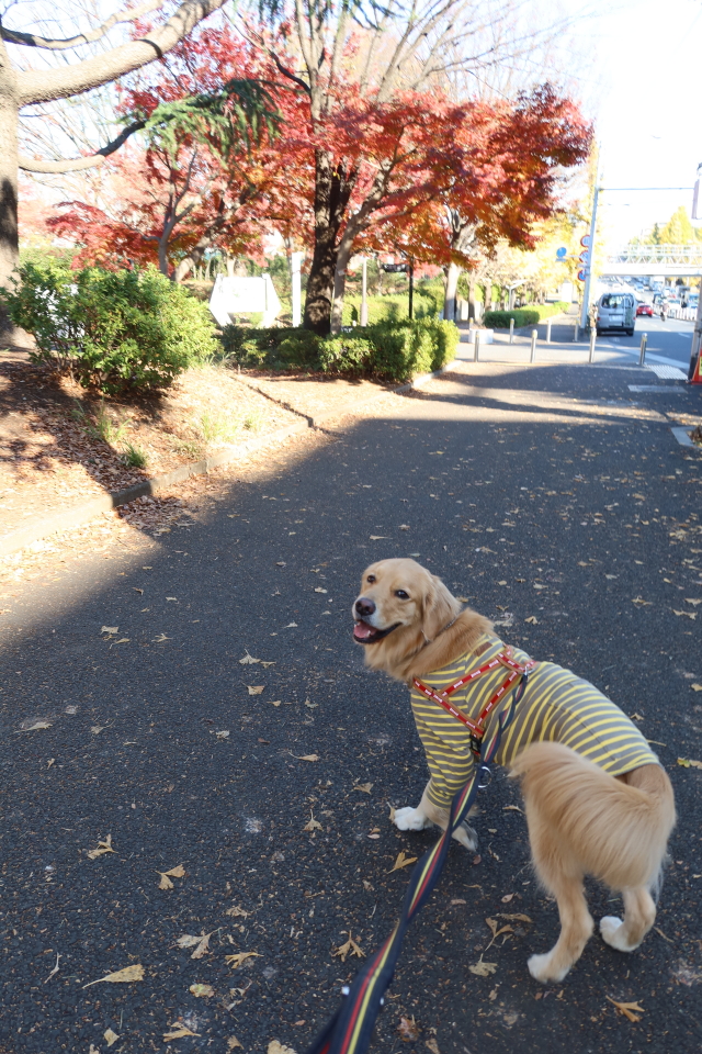 ファイル 7854-5.jpg