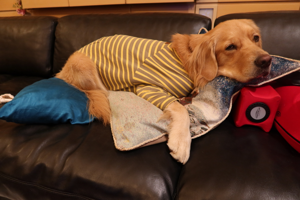 ファイル 7855-1.jpg