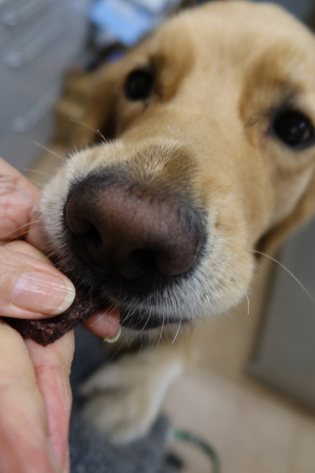 ファイル 7855-2.jpg