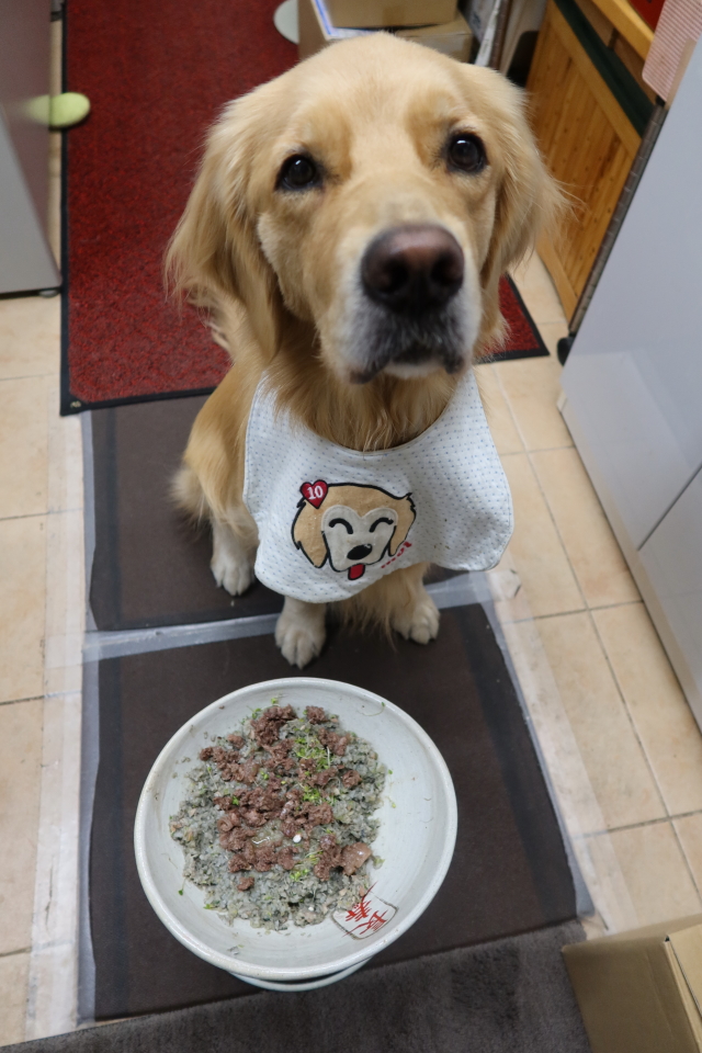 ファイル 7855-4.jpg