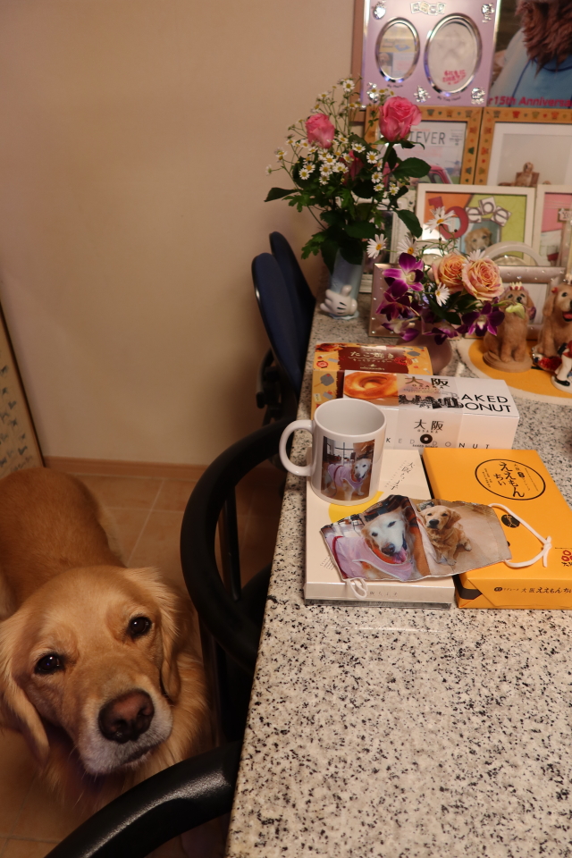 ファイル 7855-5.jpg