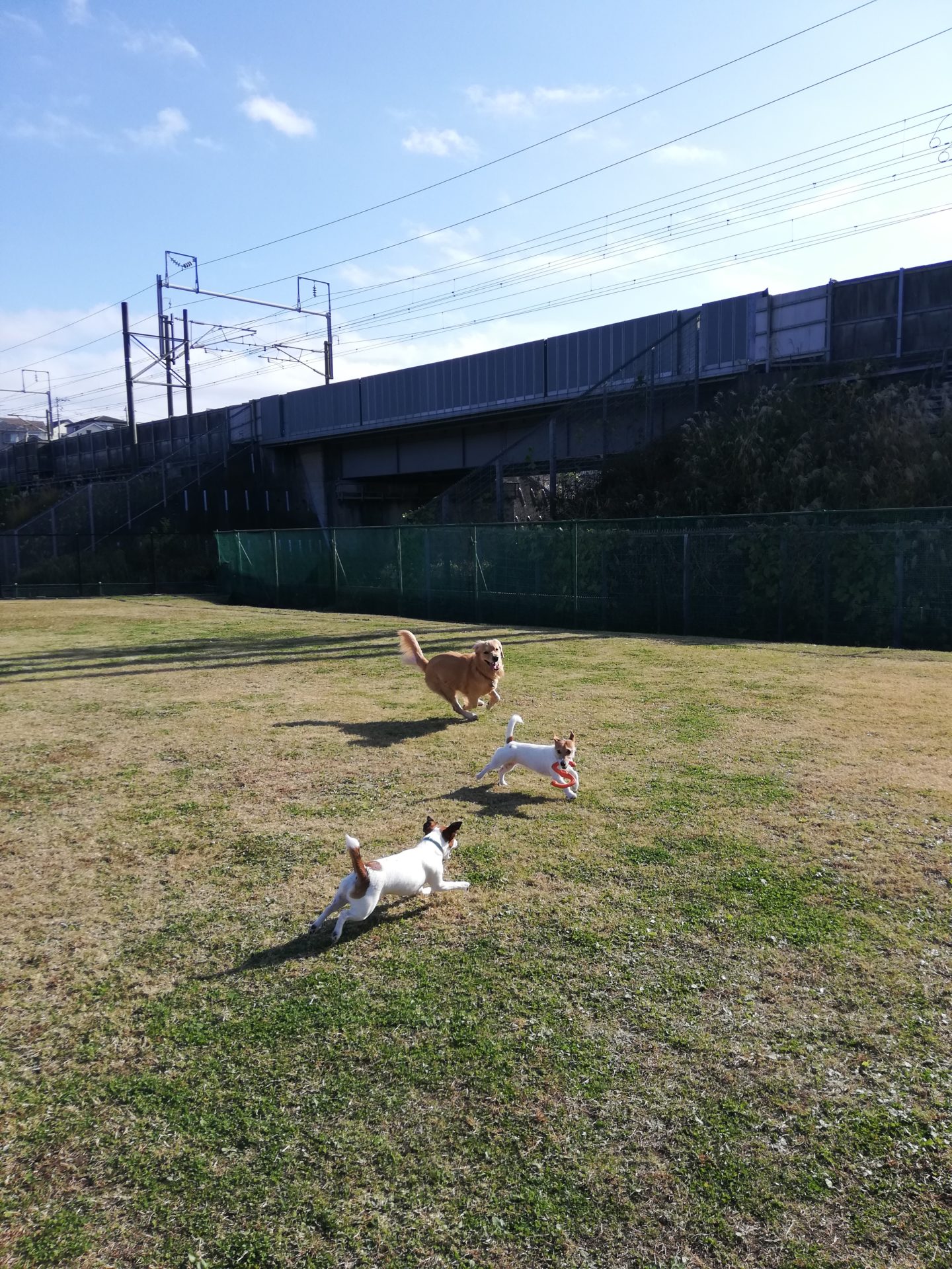 ファイル 7856-2.jpg