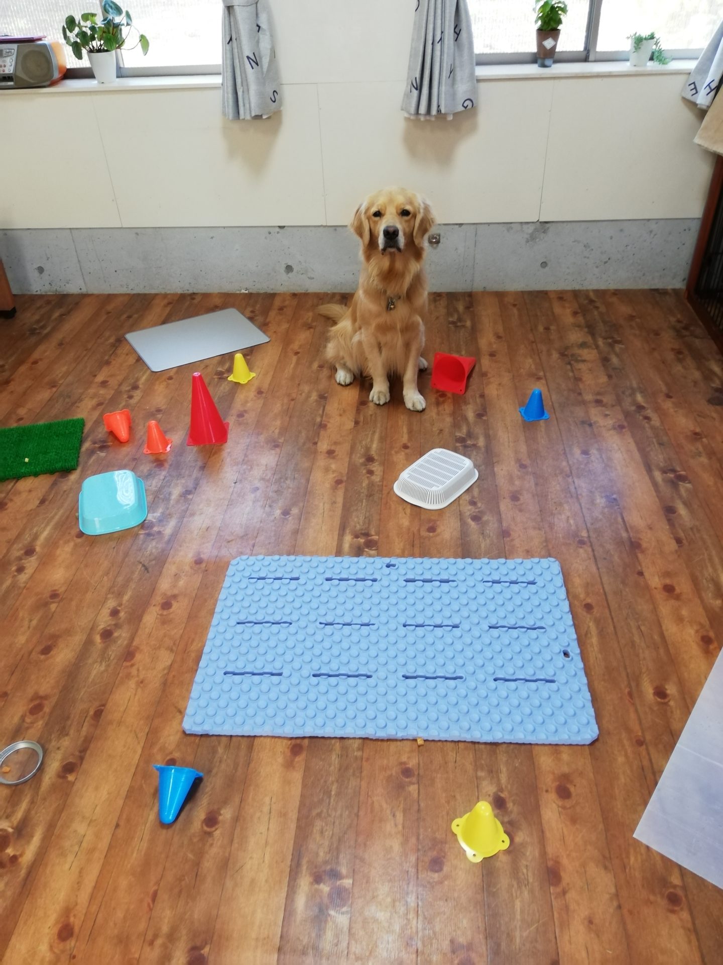 ファイル 7856-4.jpg