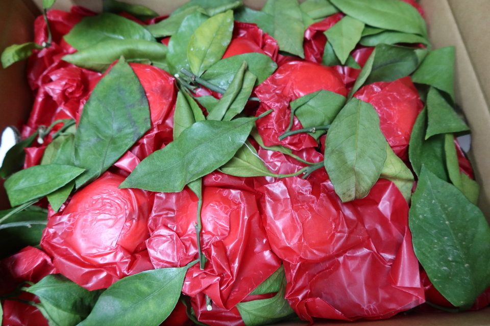 ファイル 7859-2.jpg